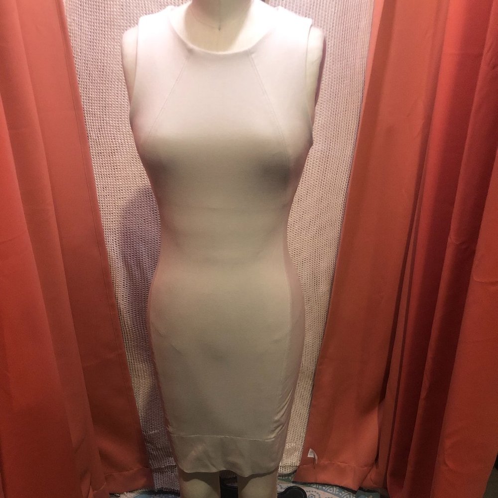 Babaton bodycon bone color dress